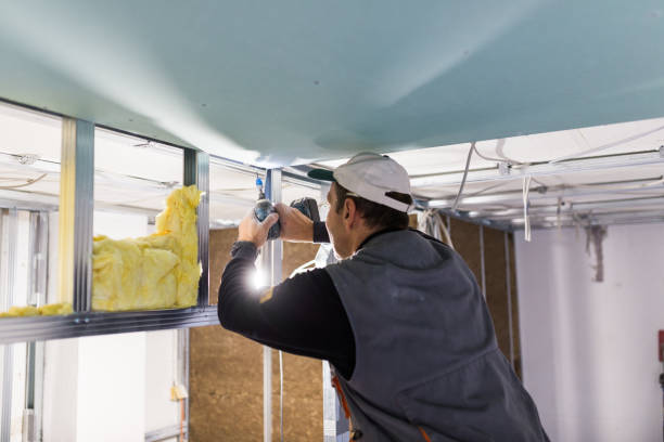 Best Home Insulation Services  in Eastport, NY