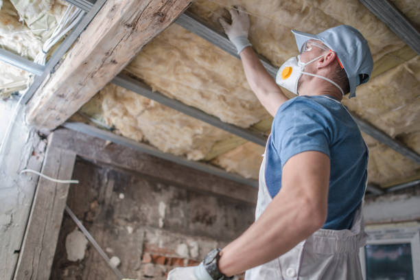 Best Insulation Replacement Services  in Eastport, NY