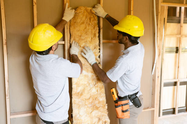 Best Insulation Inspection Services  in Eastport, NY