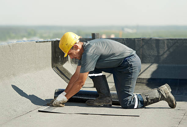 Best Insulation Contractors for Homes  in Eastport, NY