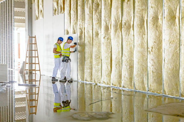 Best Attic Insulation Installation  in Eastport, NY